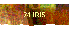 24 IRIS