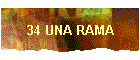 34 UNA RAMA