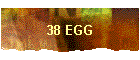 38 EGG